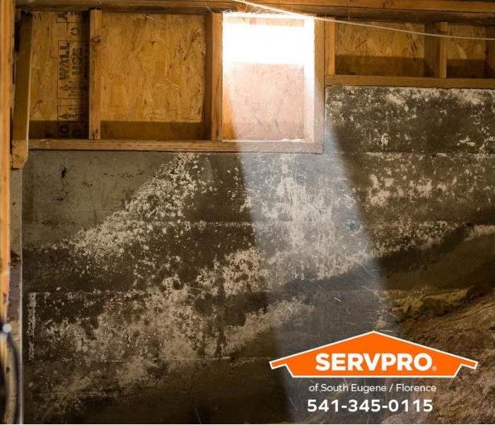 A crawl space wall shows residue from water damage.