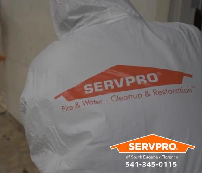 SERVPRO® technicians work to restore a mold outbreak in a home.