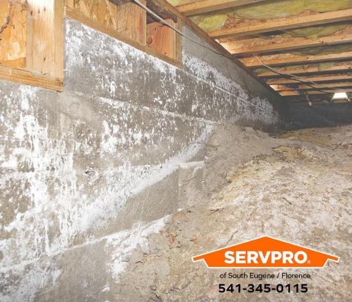 The wall in a crawl space shows signs of water and mold damage.